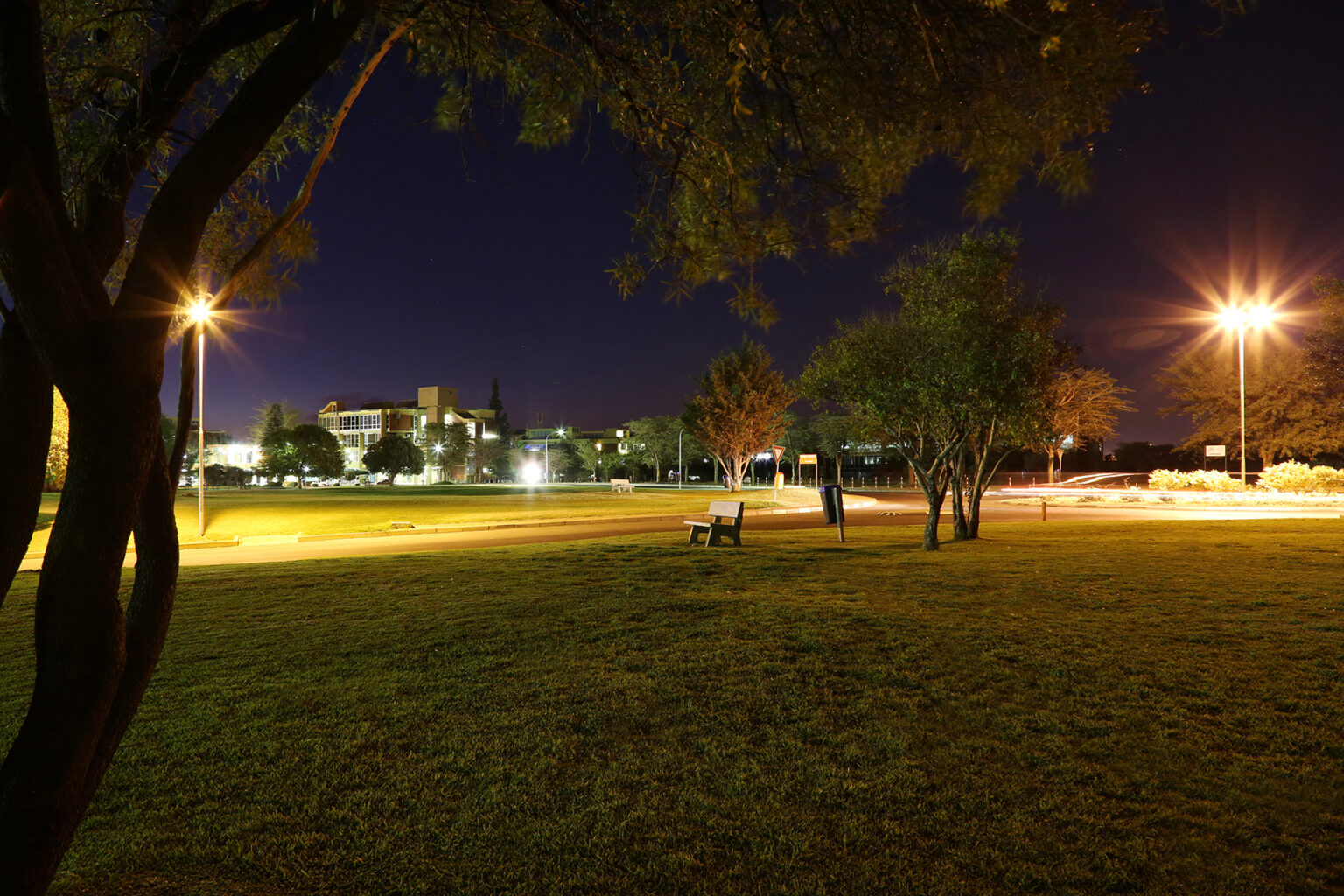 Campus Gallery - UNAM